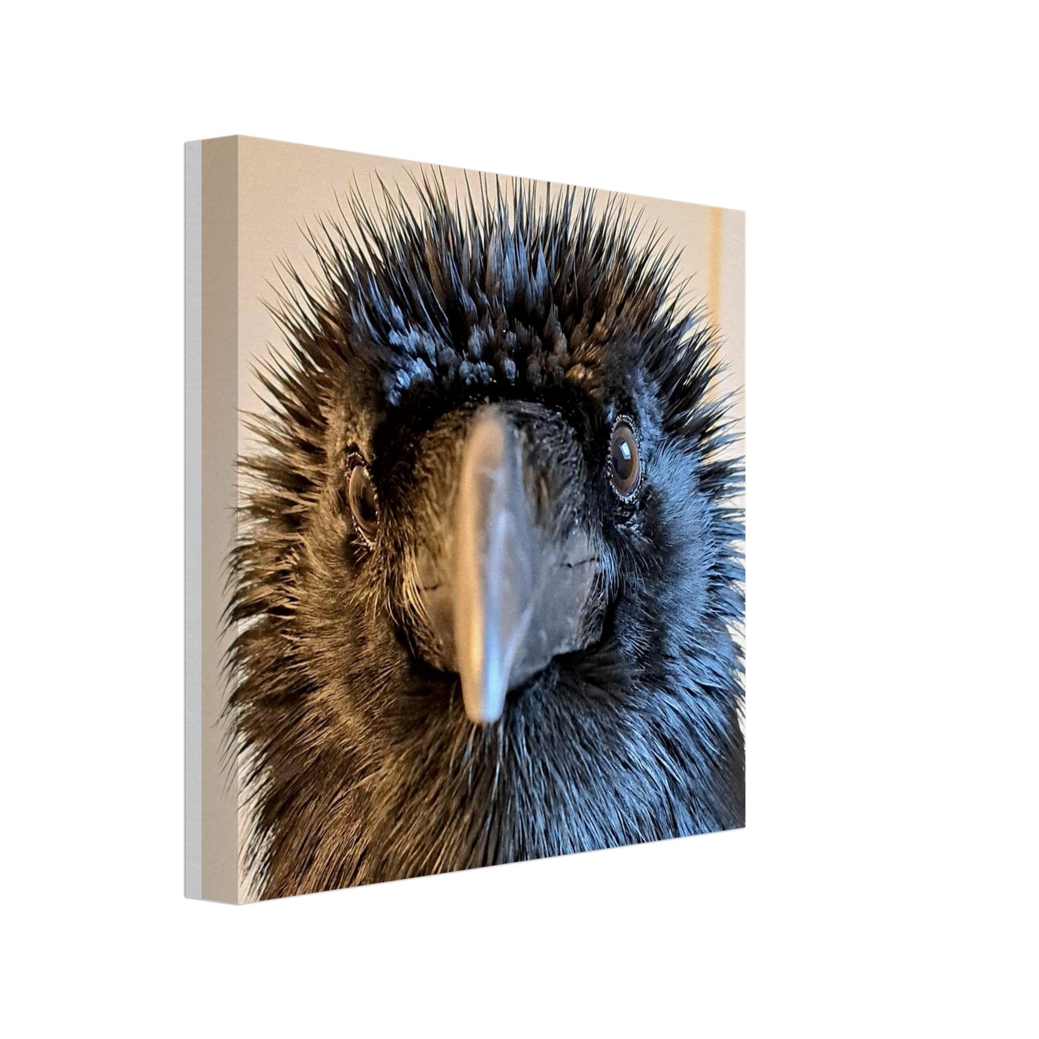 08b43cd5-5882-4972-8e88-528d0a49c608