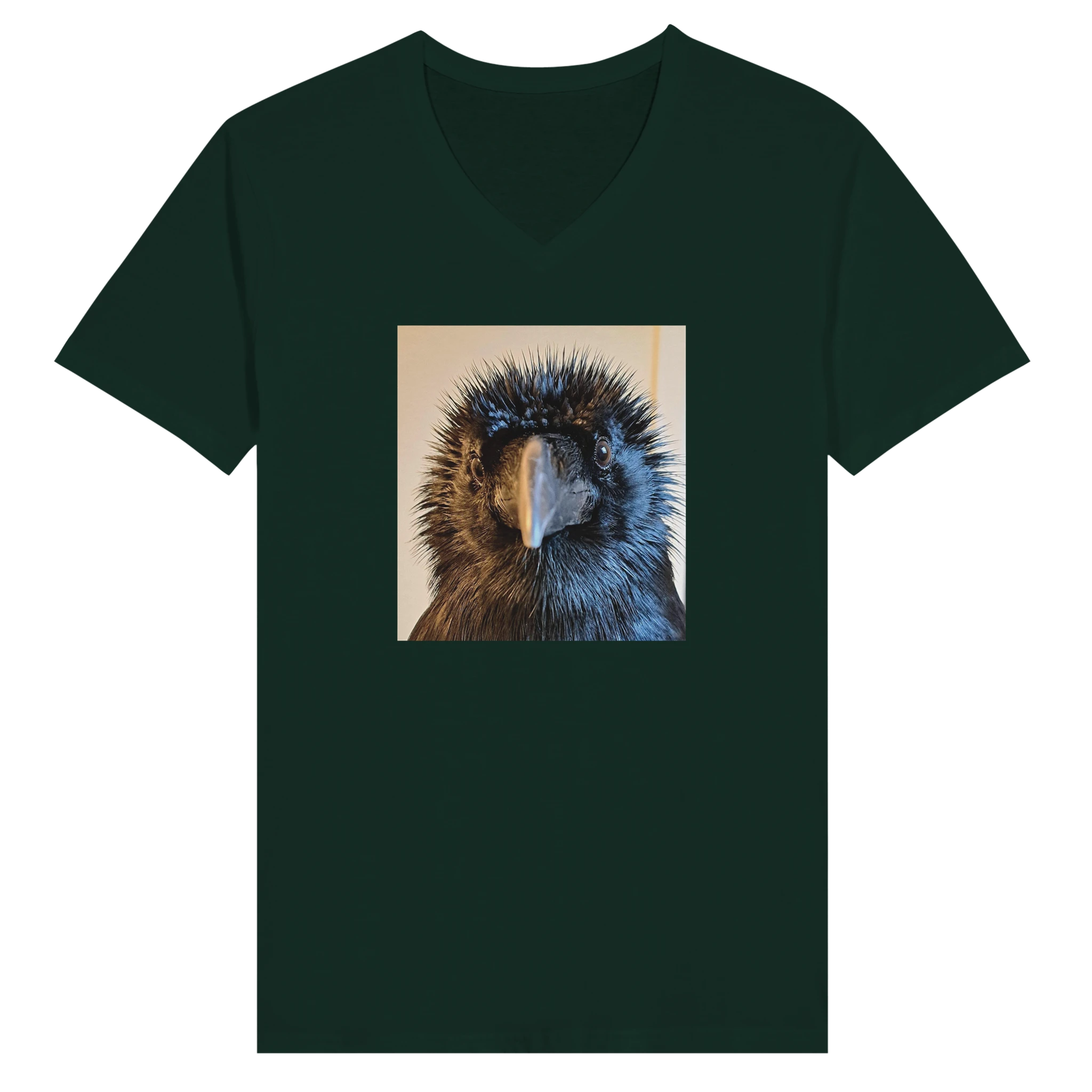 0fc513cf-a58c-44a3-8f25-81a271726ae1