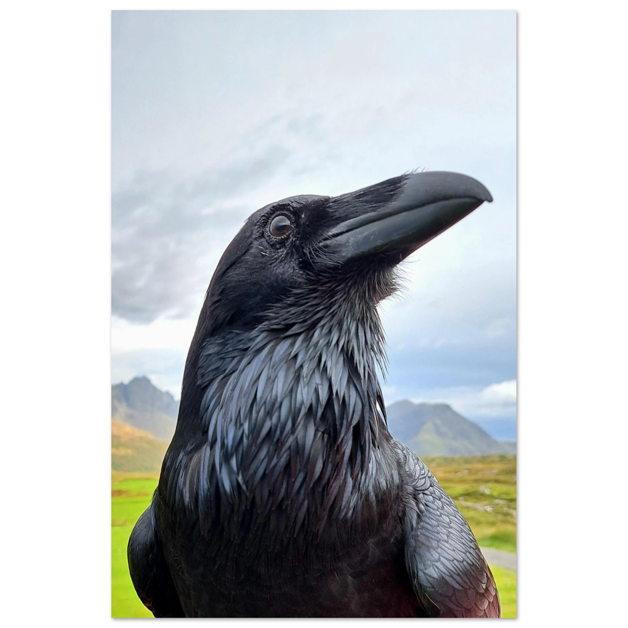 16e00c14-21d3-4f0d-a0de-b587990aaaaa