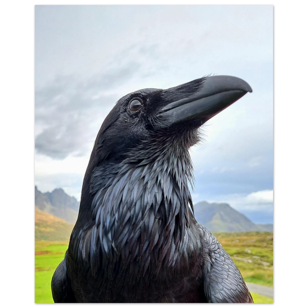 292d3dae-490d-4008-9168-6e088d9ef04b