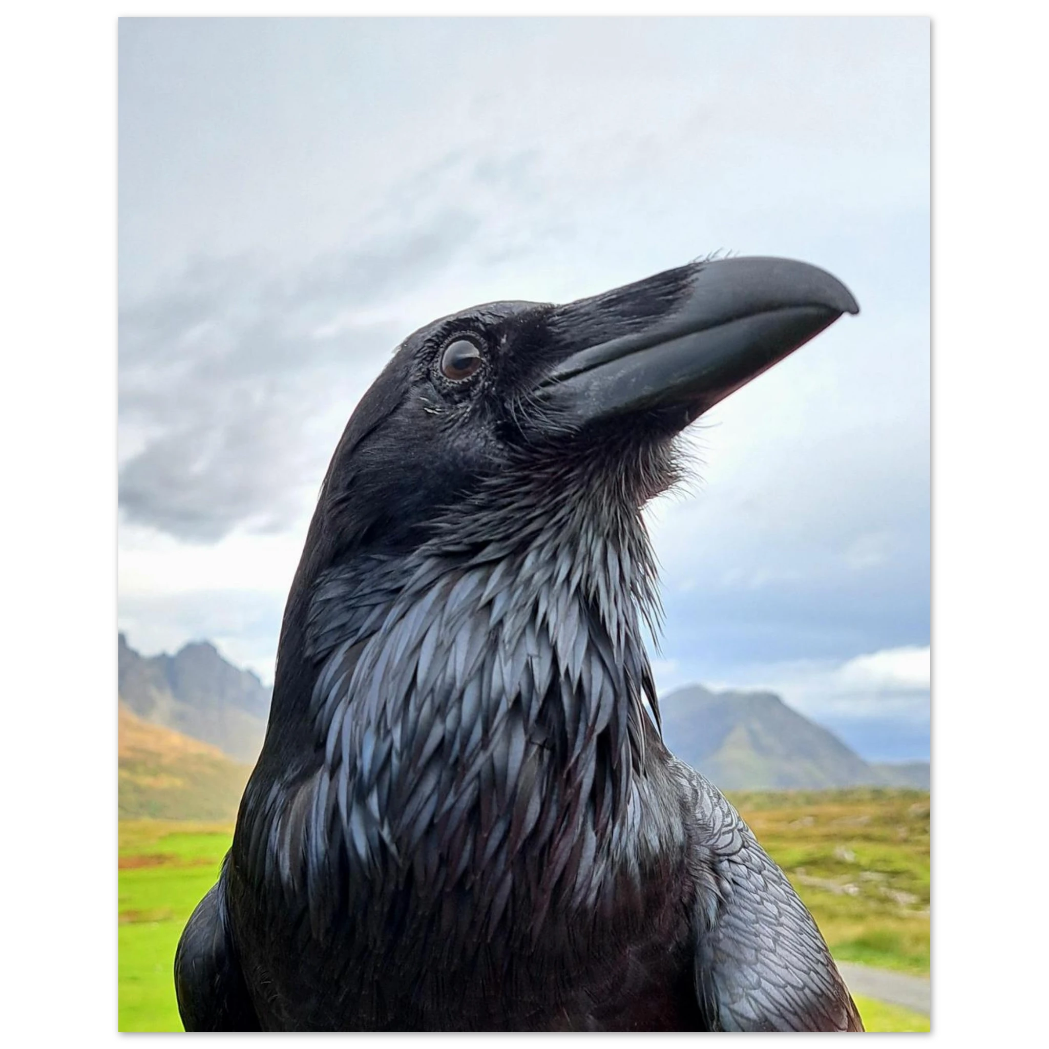 292d3dae-490d-4008-9168-6e088d9ef04b