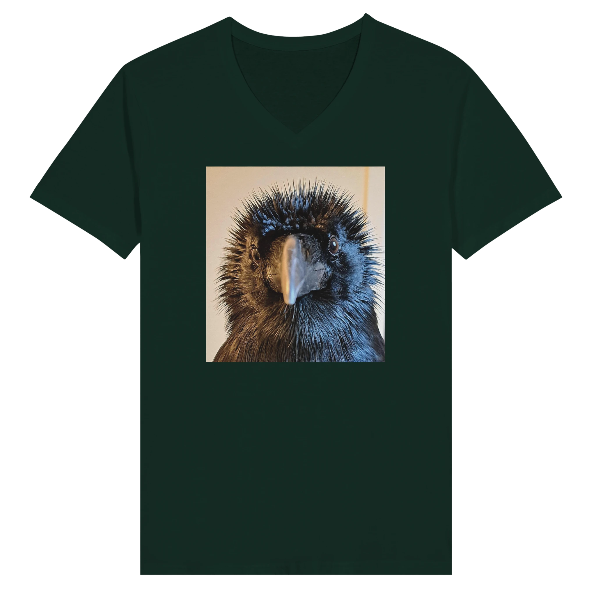 2c050e16-be8c-4b09-a214-7b71162c33a7