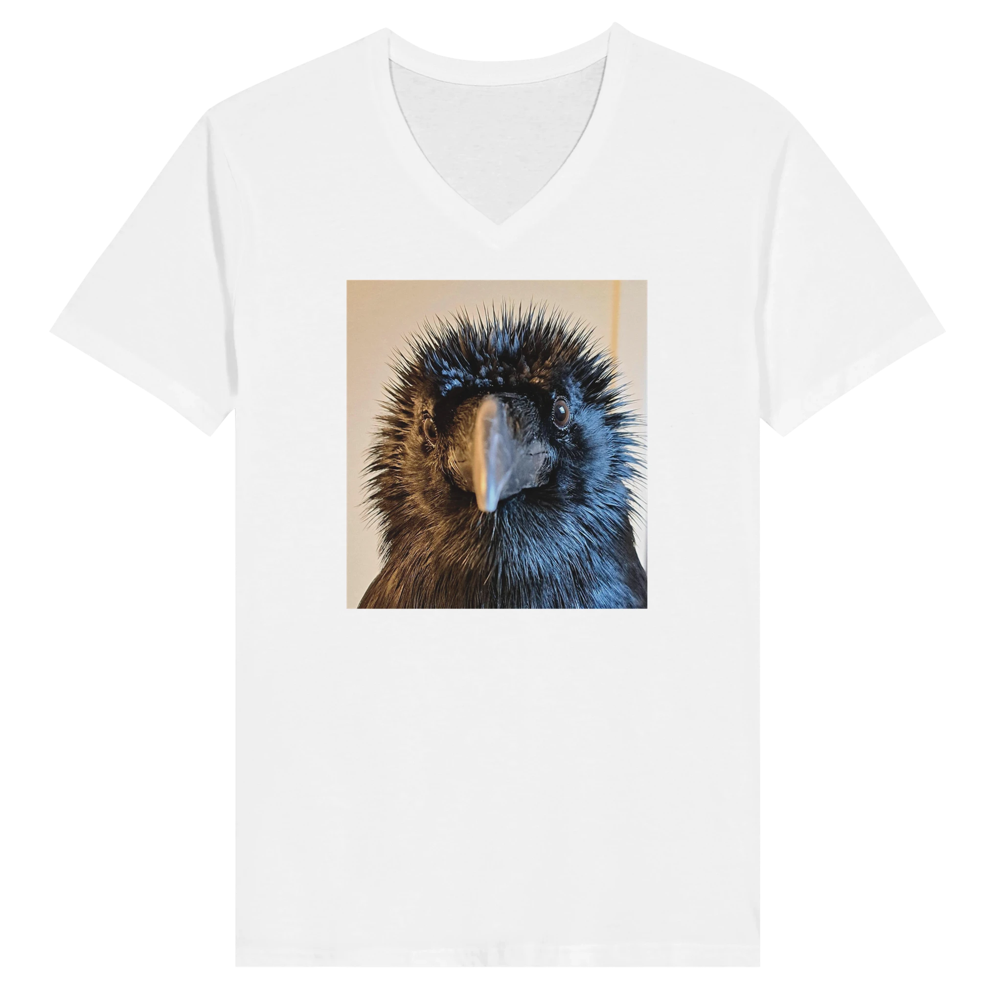 2e2eb322-a37f-4c95-9df5-efcb08b394ff