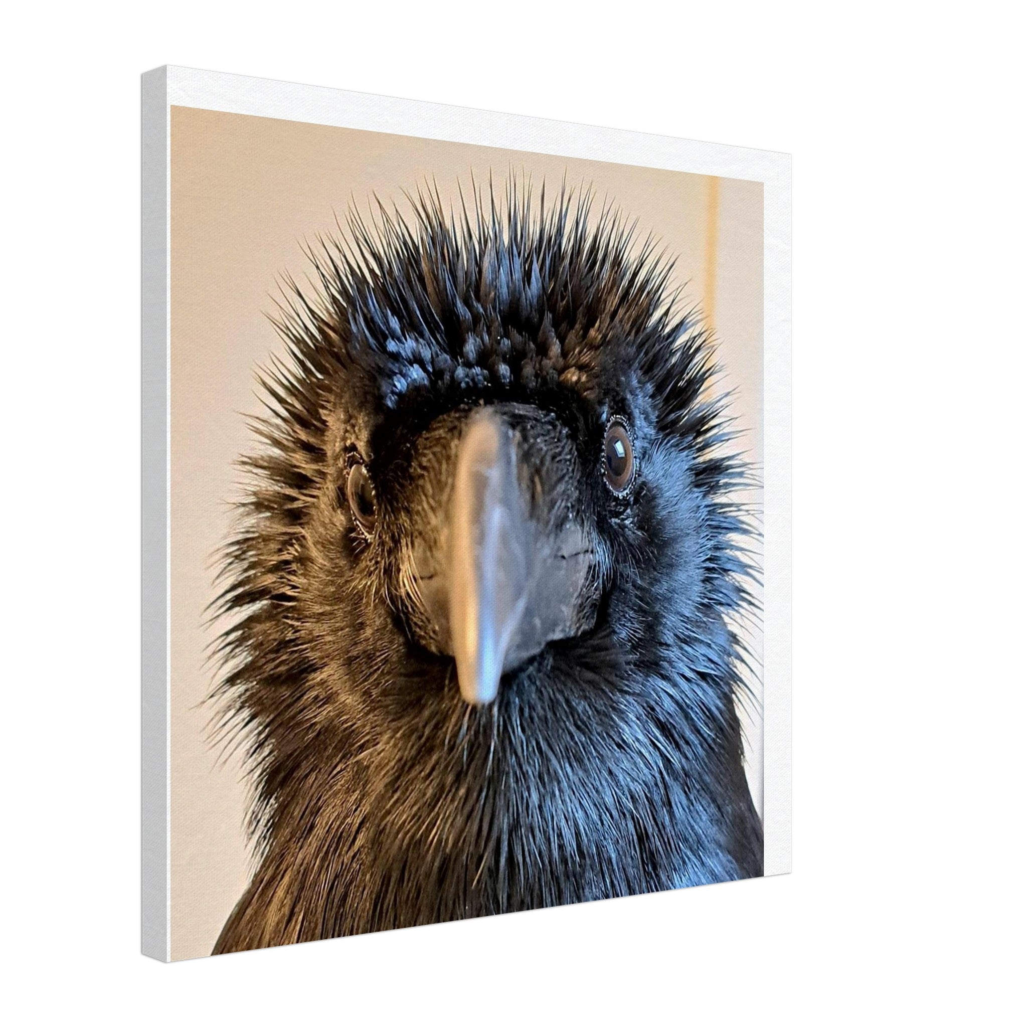 50fd611b-3c54-426f-b289-abaae439cfb7