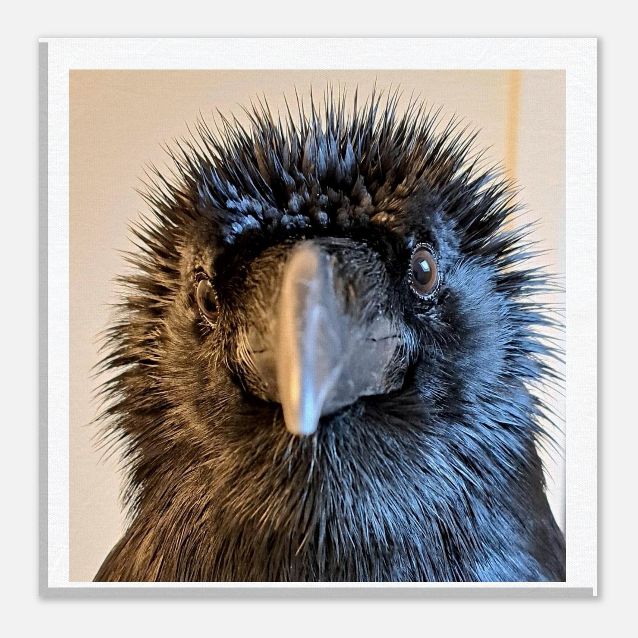 53aa2fb8-97b6-4da2-a368-b2fbd53d49f3