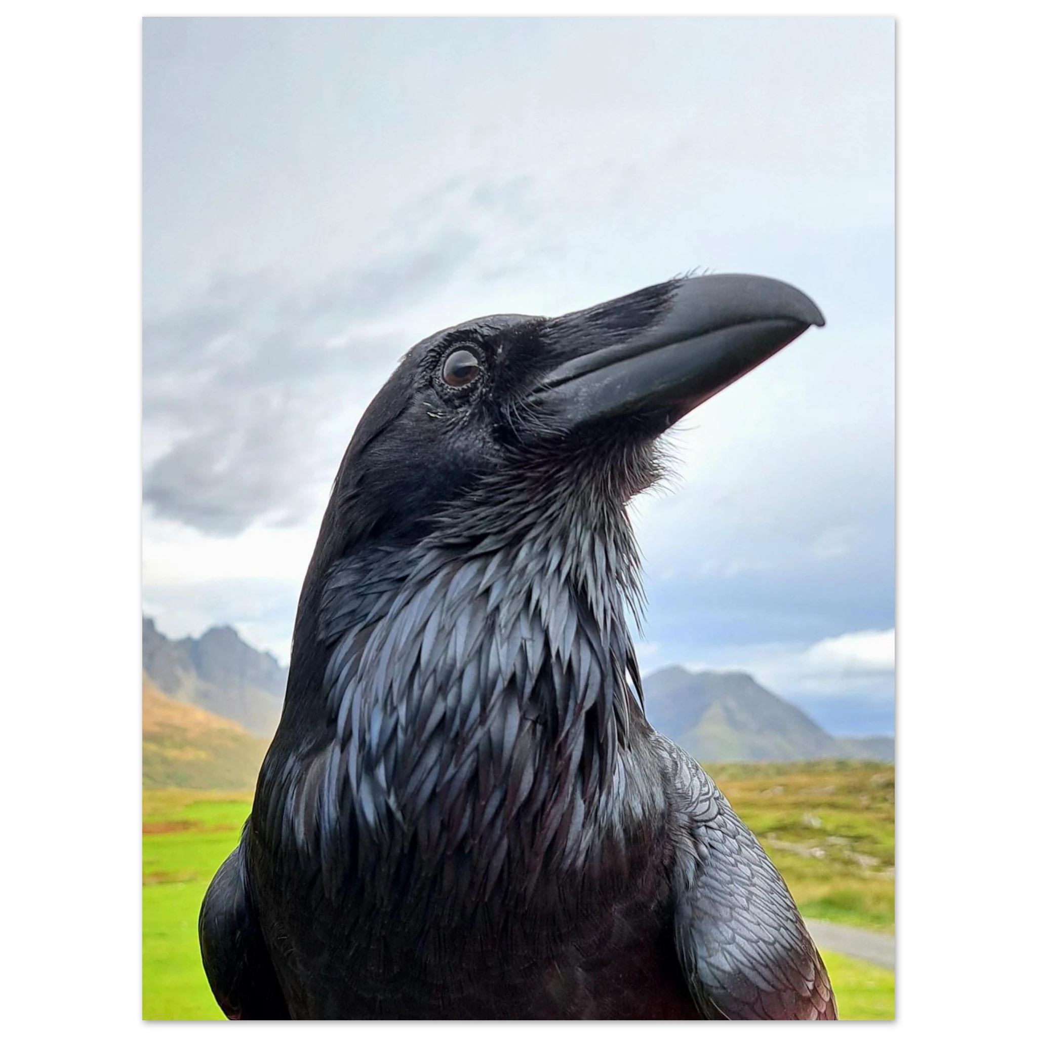 70c4727c-a5c0-413a-a636-0febb1c8fe5b