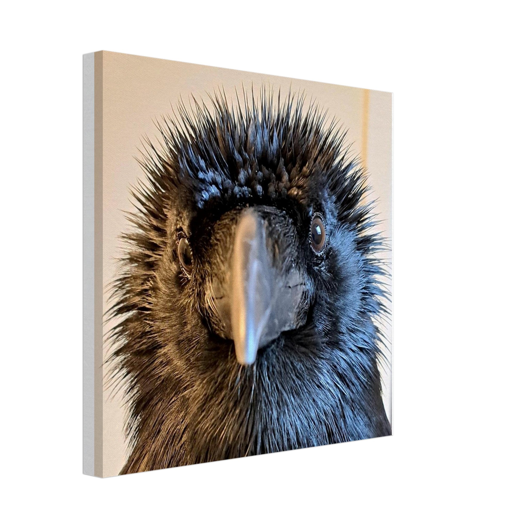 8b8527c0-fccf-42df-8604-877afdf8e820