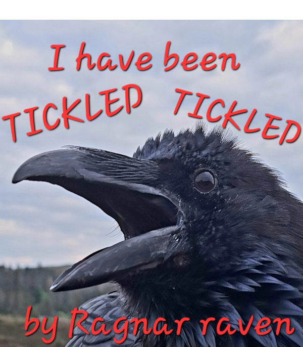 "I have been tickle tickled by Ragnar Raven" Unisex T-shirt Gildan