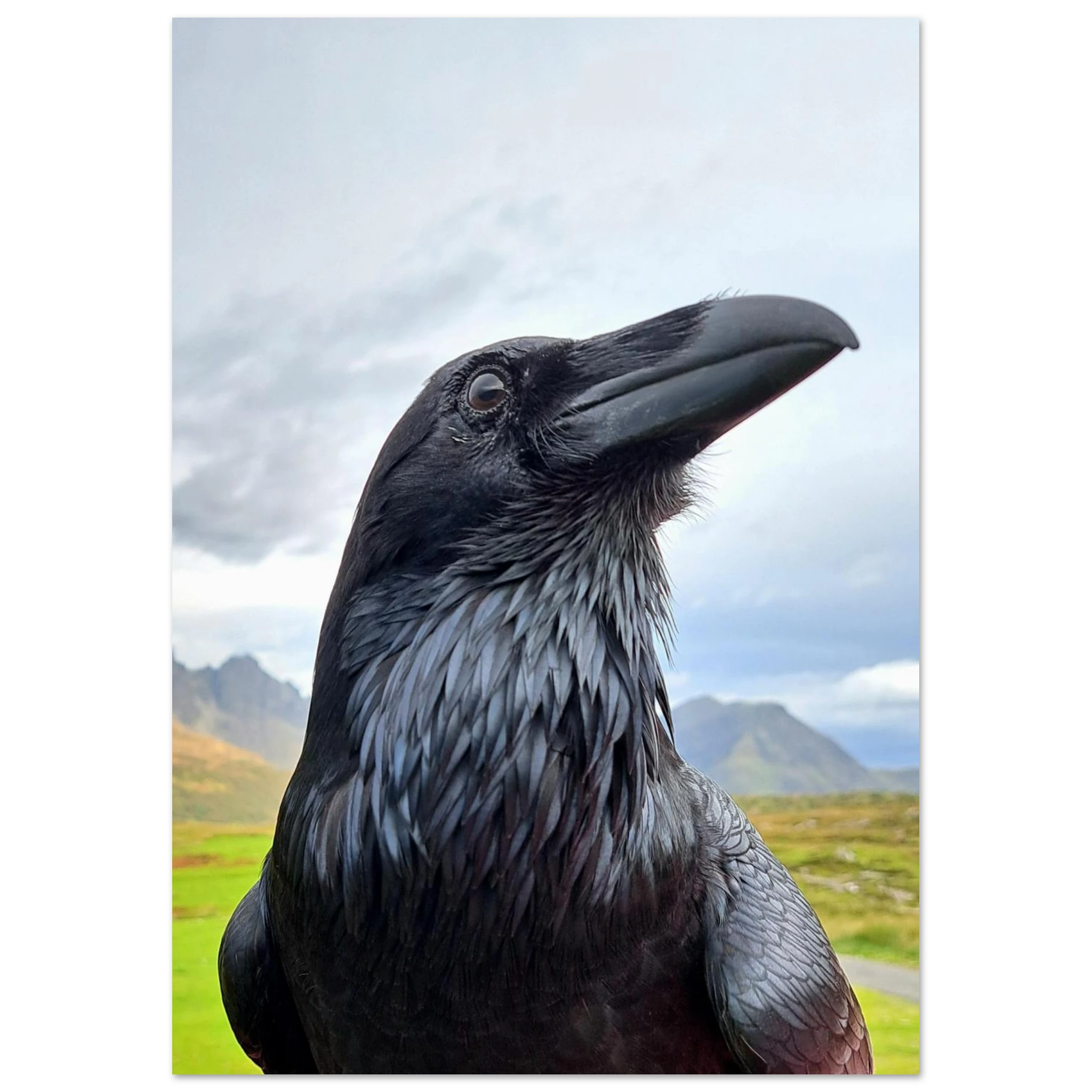 a94c1ef2-1baa-4b2d-9d8c-cc322bb39880