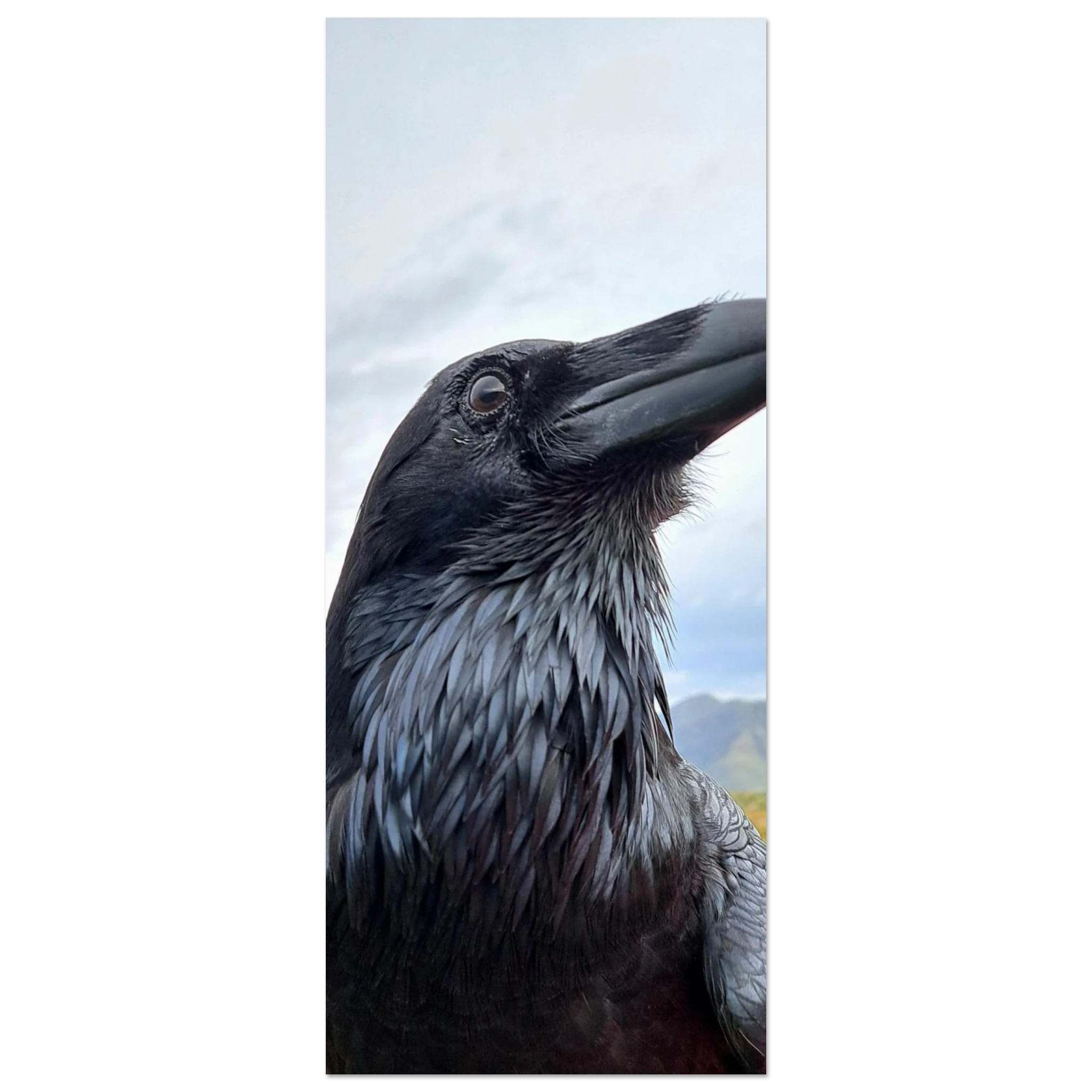 afc6c181-781c-42ad-8f26-f0956cc8b194