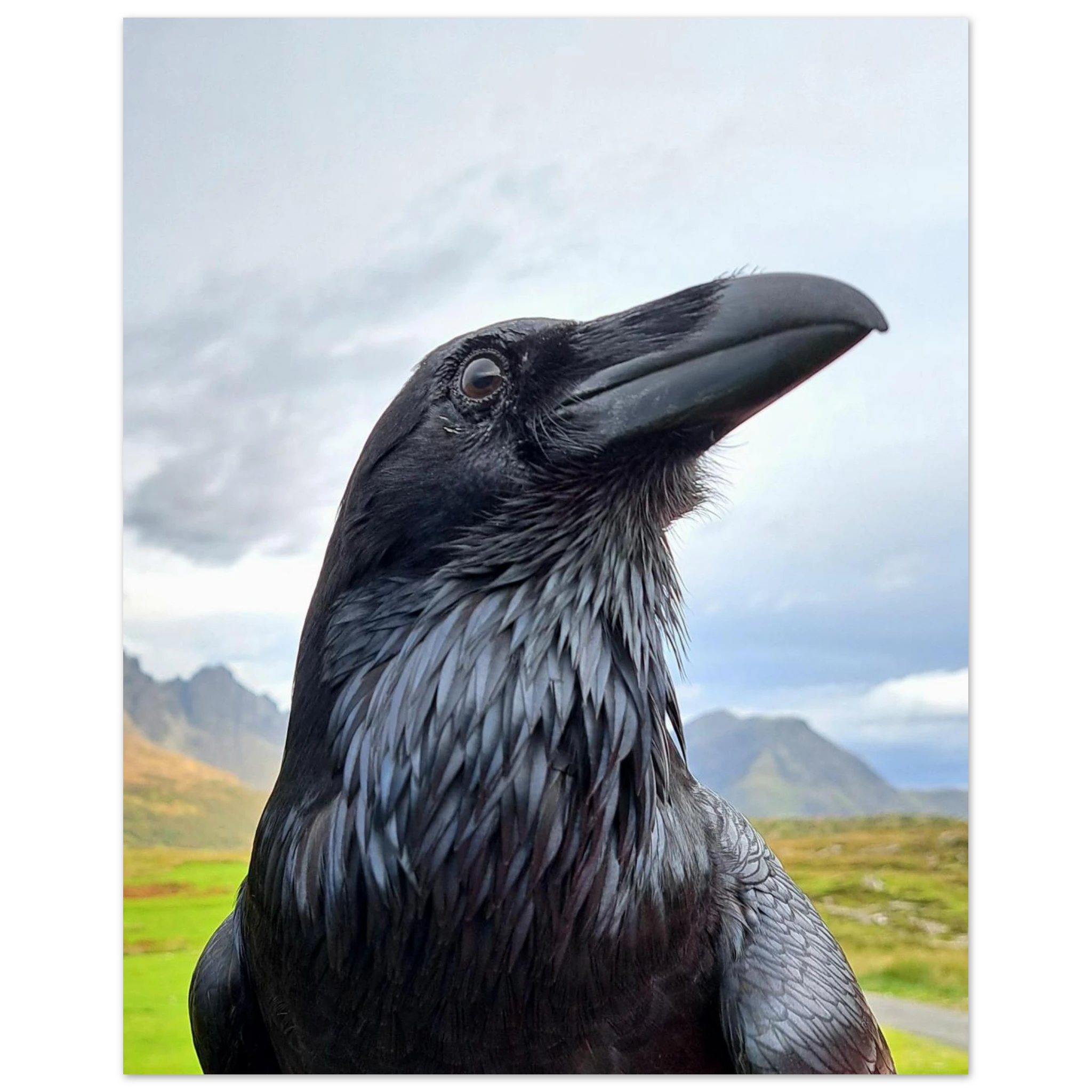 b9e7881c-2e8a-4a94-852f-2cfa6f56c7e9