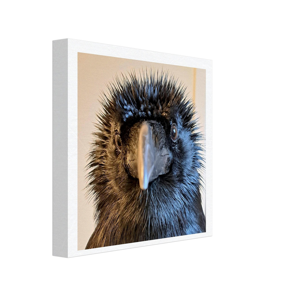 cb0e5120-2c17-4c20-93ed-1e68858ac73f