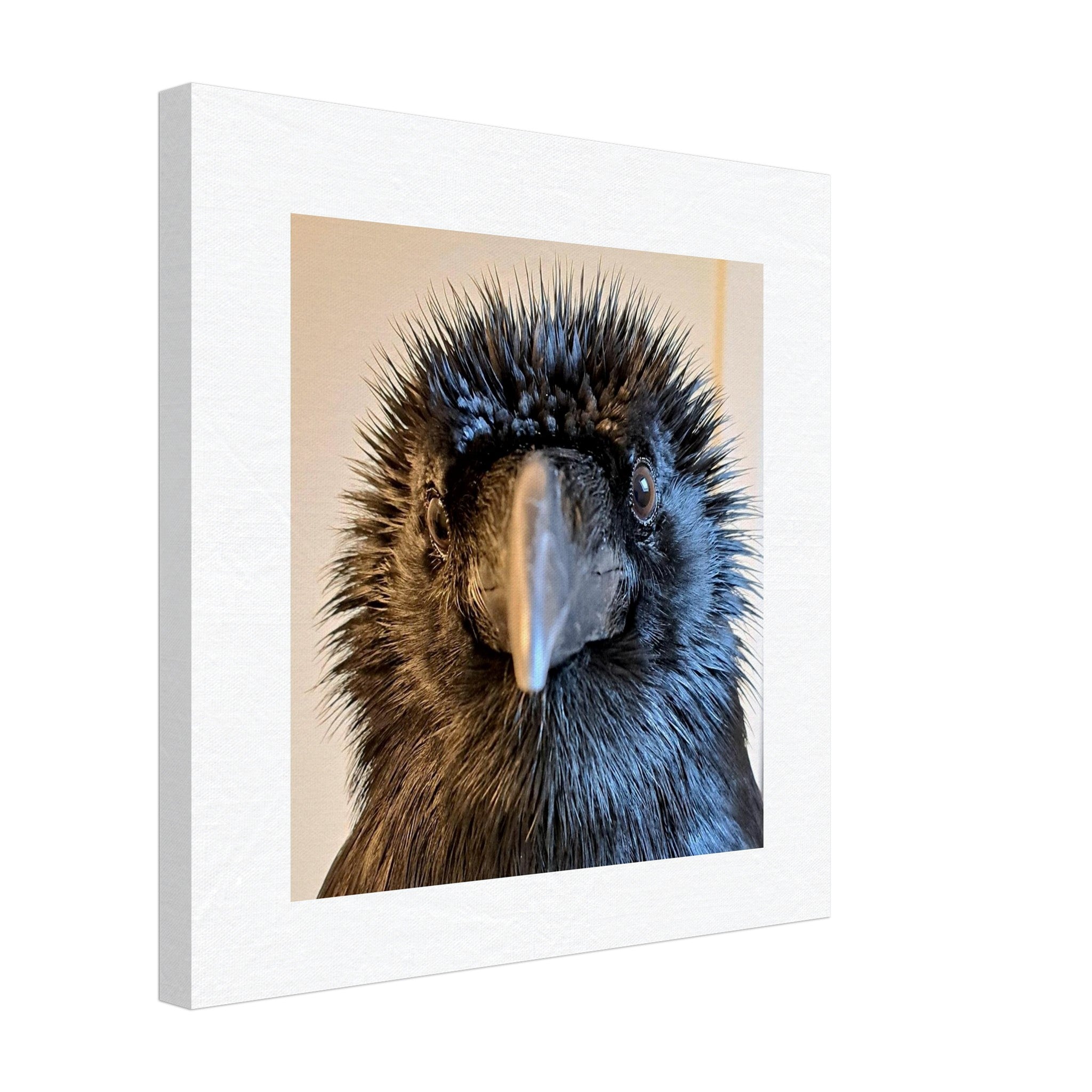 cd8e826a-7357-467c-a346-fd04198dec39