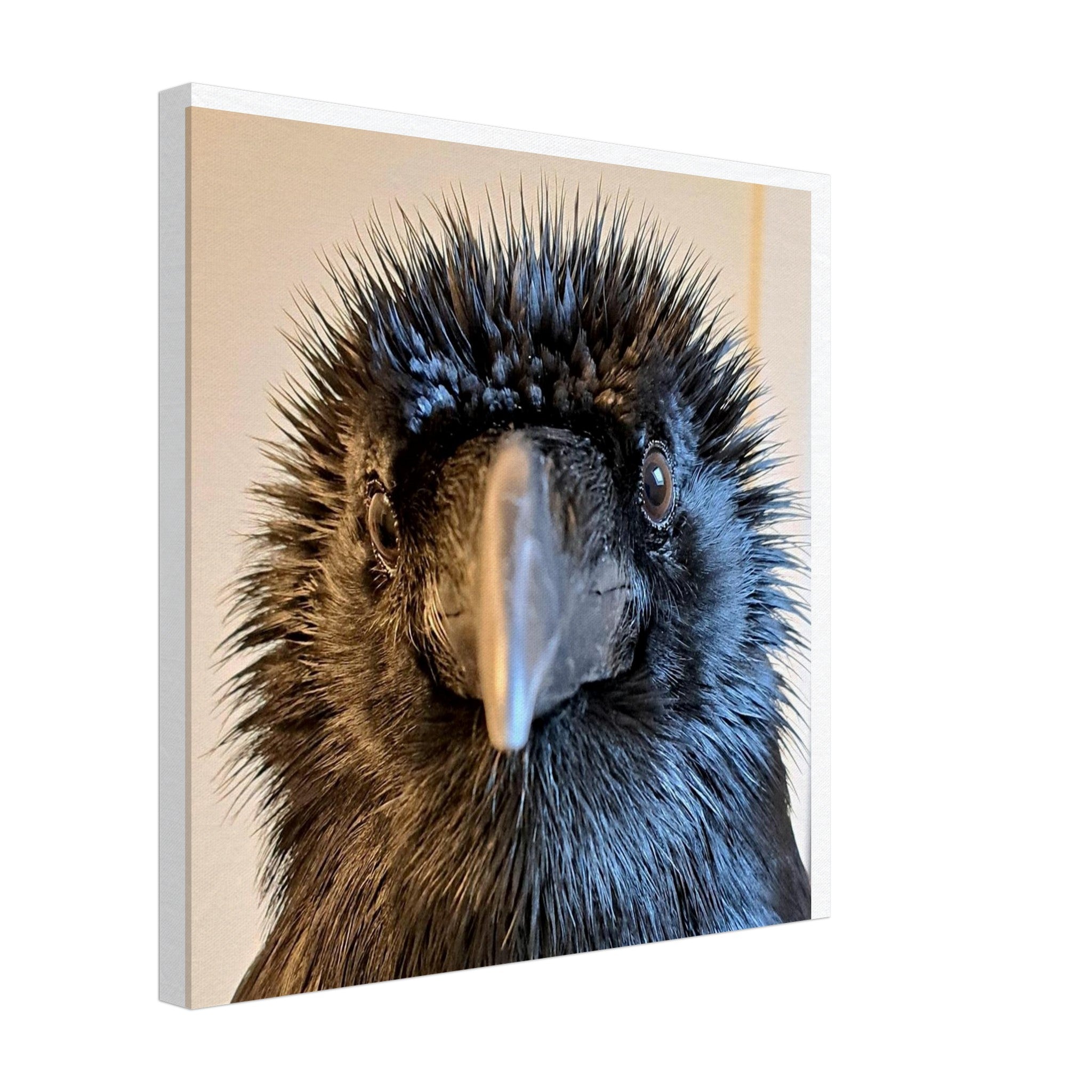 d95897f3-4c3a-457f-affe-bf0f25e8eab2