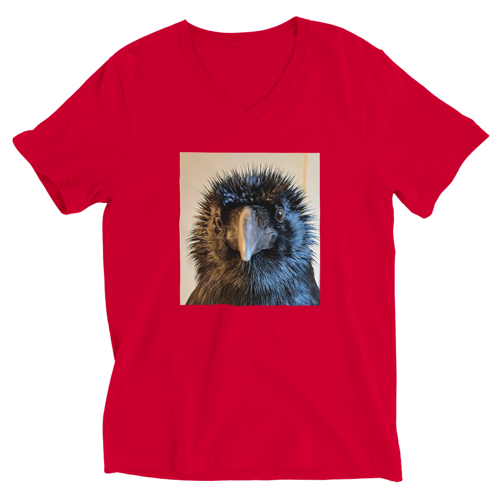 f841c60a-7eb2-4eb0-91c3-73df3ffe0a81