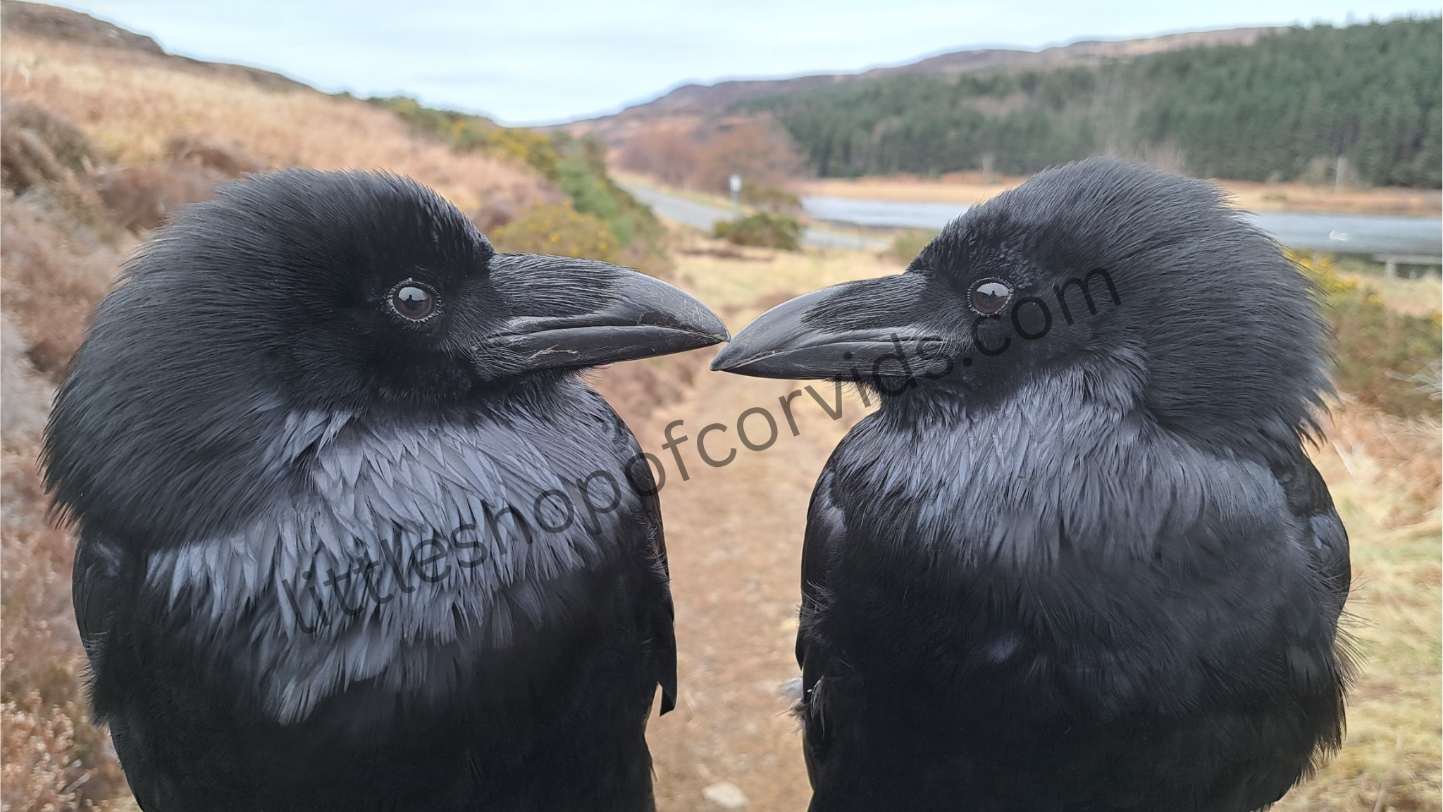 "Book Ends" Classic Mug Mug Classic - Full Print