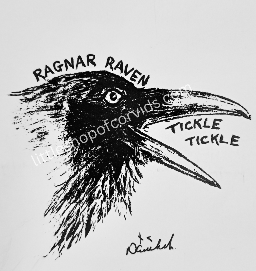 "Ragnar Raven Sketch" Canvas 20x20 cm