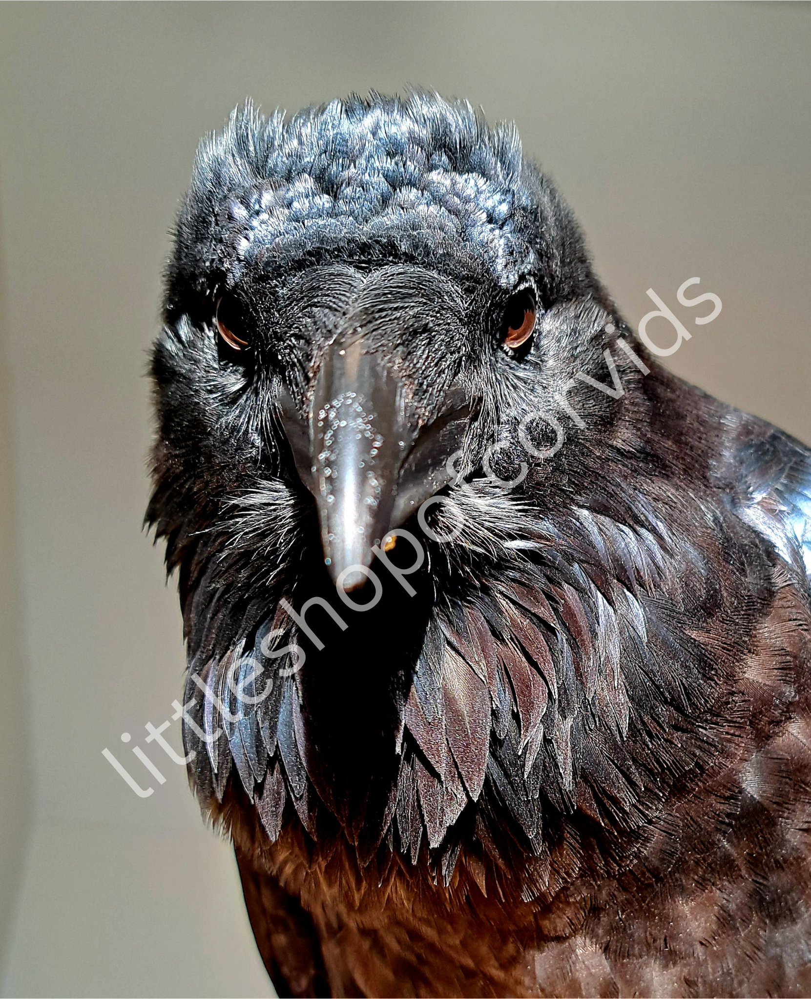 "Menacing Ragnar" Rug