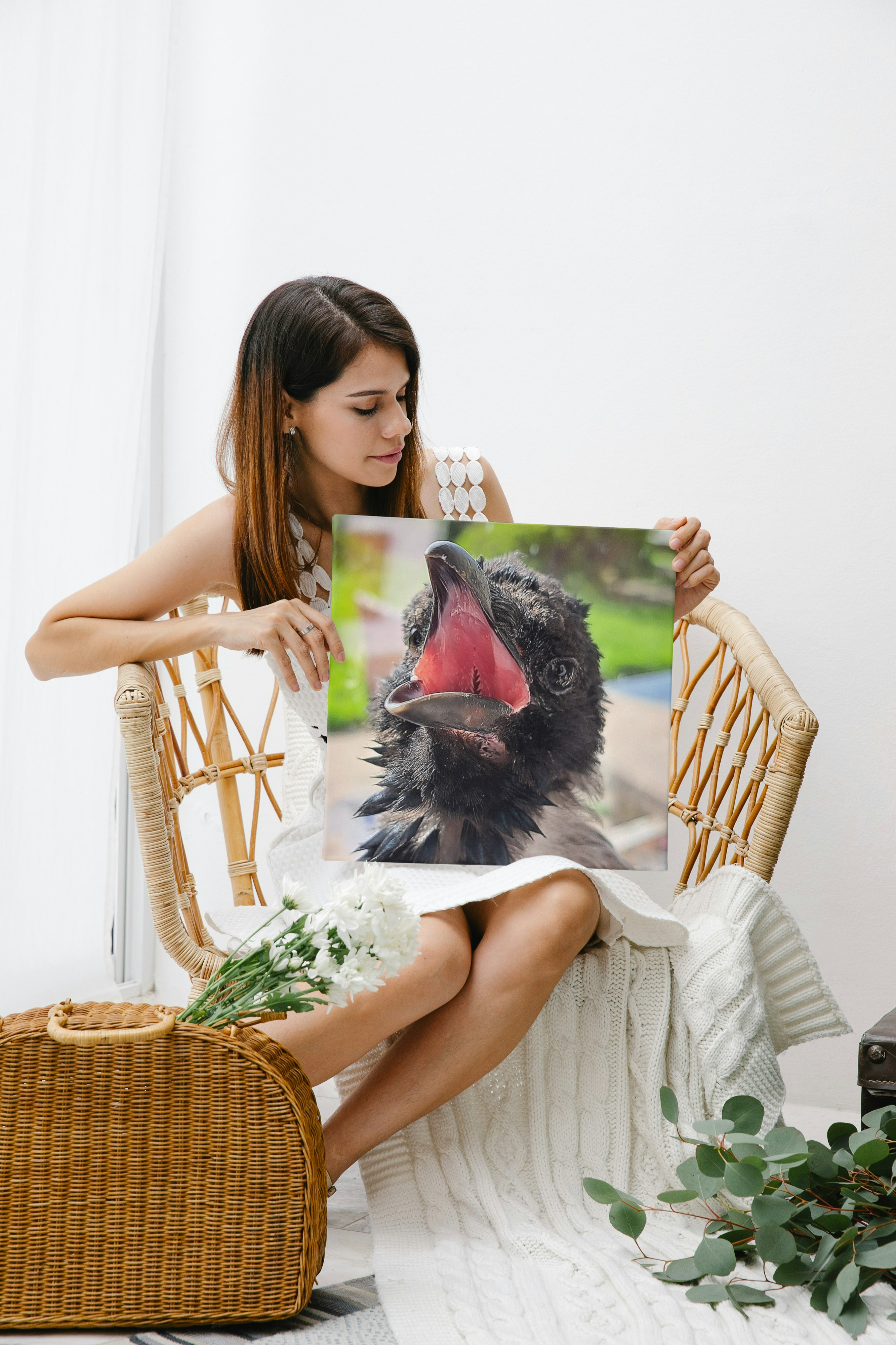 "Baby Gilbert" Canvas 20x20 cm